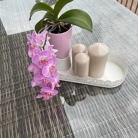 Ninna Crikvenica